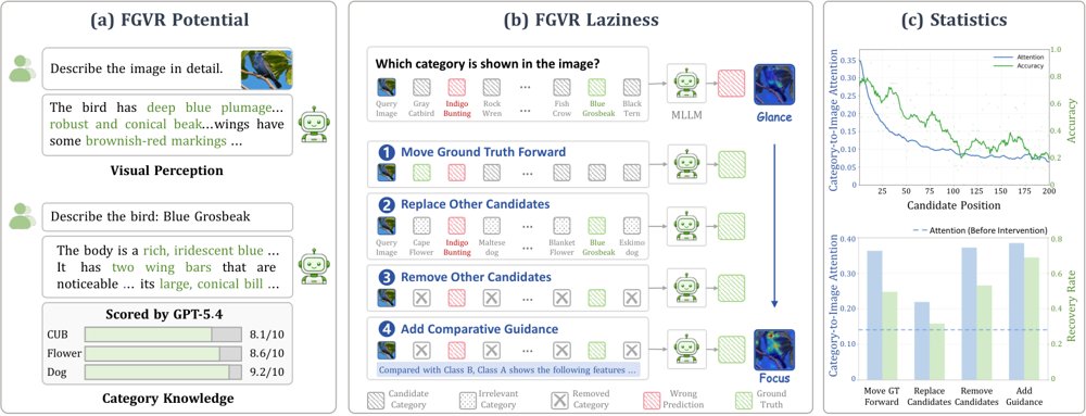 From Glance to Focus: Mitigating Recognition Laziness in MLLMs for Fine-Grained Recognition Figure 1