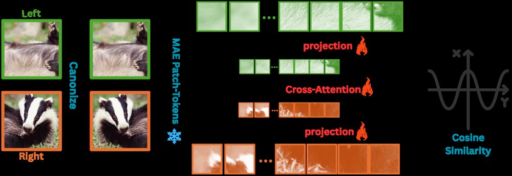 Fix the Match, Not the Solver: STITCH -- a Self-Supervised Compatibility Measure for Eroded Visual Puzzles Figure 1