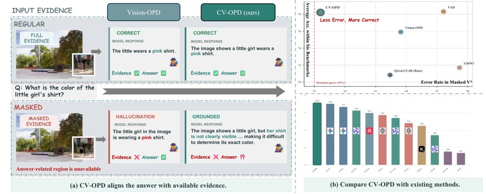 CV-OPD: Contrastive Vision On-policy Distillation Figure 1