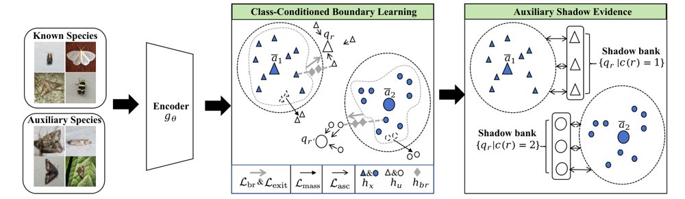 CUBE: Class-conditioned Unknown Boundary Evidence for Open-Set Insect Species Recognition Figure 1