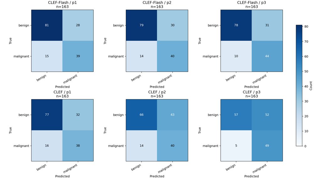 Can Multimodal Decision Models Classify Breast Ultrasound Images? Benchmarking CLEF and CLEF-Flash Across Prompts and Datasets Figure 1