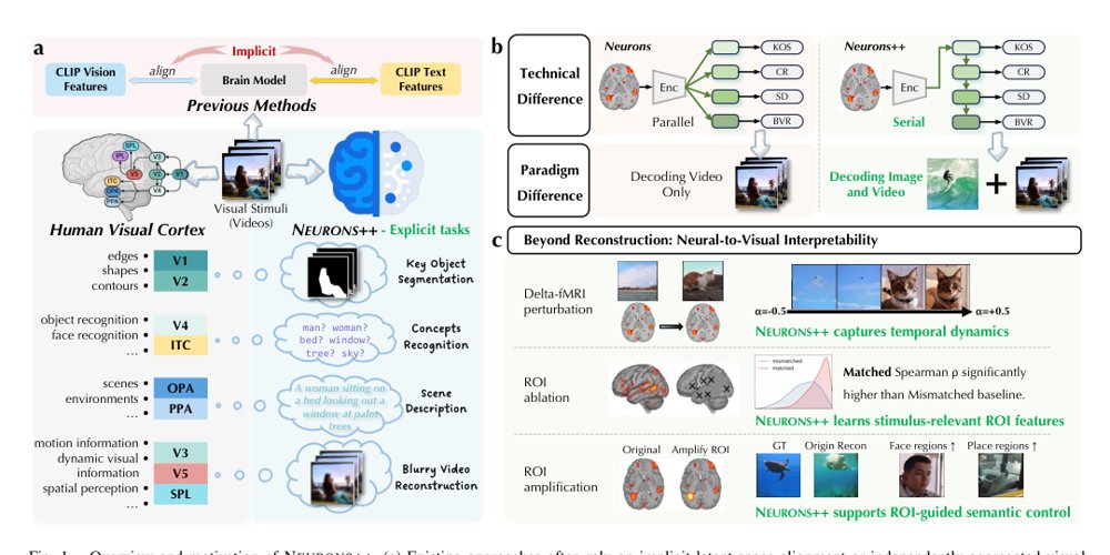 Neurons++: A Unified Visual-Stream Framework for Image and Video Reconstruction from fMRI with Neural-to-Visual Interpretability Figure 1