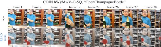 READ: Reading the Selective Scan for Faithful Video Attribution Figure 1