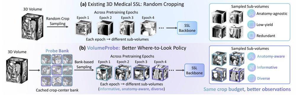 Where to Look Matters: Rethinking Sub-Volume Sampling in 3D Medical Self-supervised Learning Figure 1