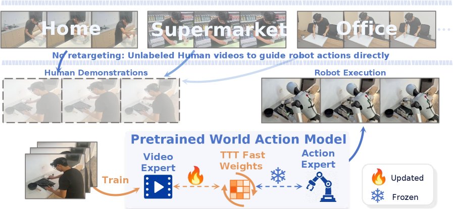 WAM-TTT: Steering World-Action Models by Watching Human Play at Test Time Figure 1