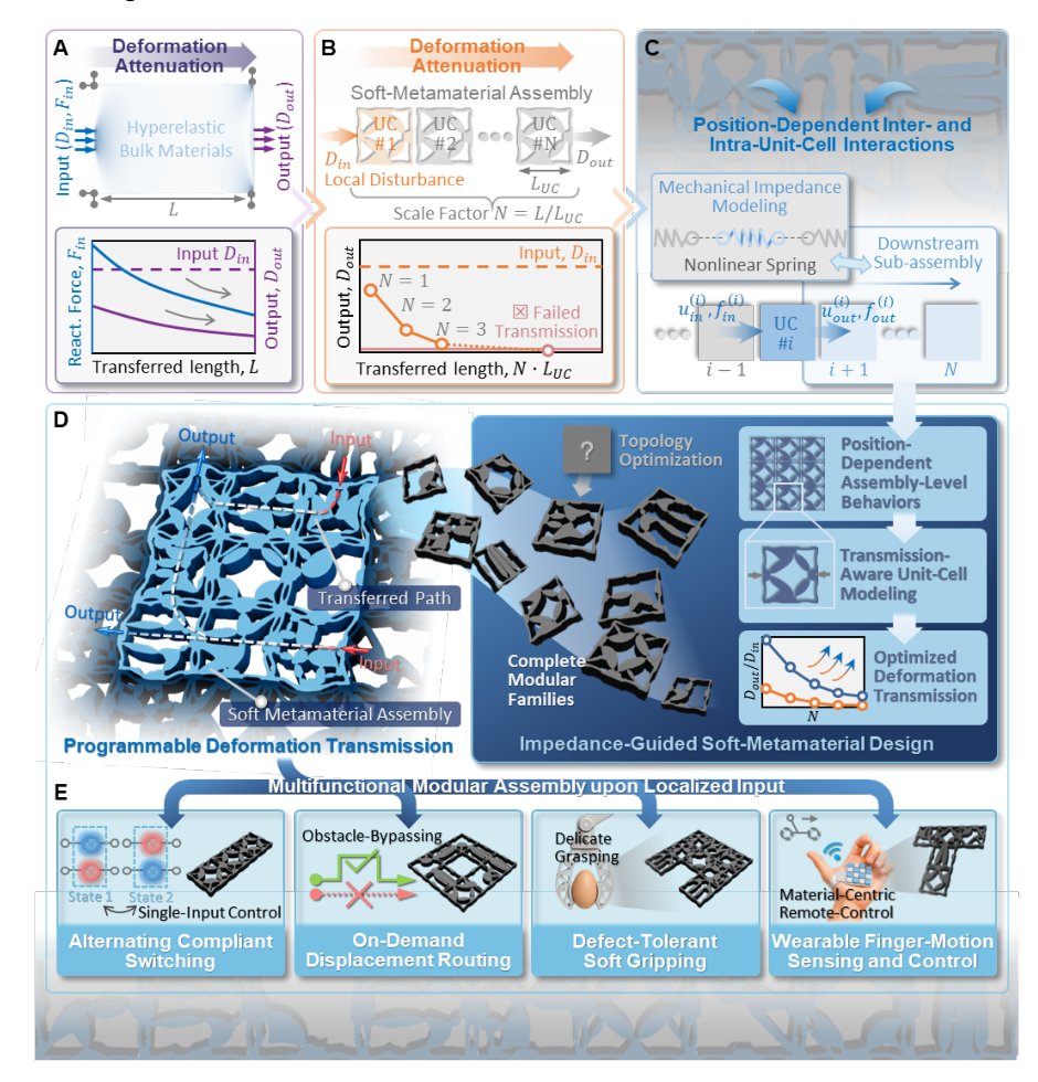 Impedance-Guided Programmable Transmission of Localized Deformation in Modular Soft Metamaterials Figure 1