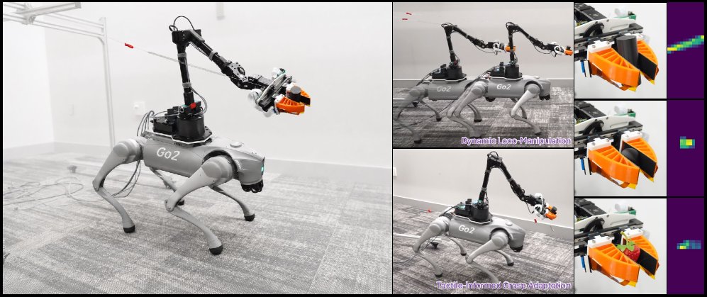 TAC-LOCO: Unified Whole-Body Control for Quadrupedal TACtile-Informed LOCO-Manipulation Figure 1