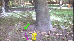 MAMMOTH: A Multi-Modal End-to-End Policy for Off-Road Mobility Robust to Missing Modality Figure 1