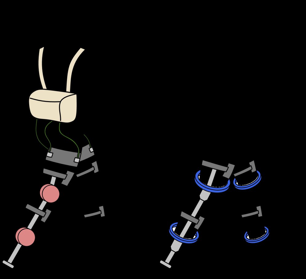 Design and Characterization of a Limb Encircling Actuator Figure 1