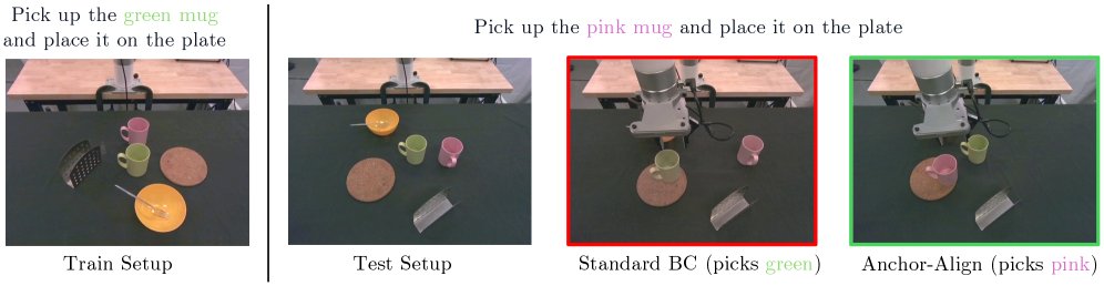 Generalizable VLA Finetuning via Representation Anchoring and Language-Action Alignment Figure 1
