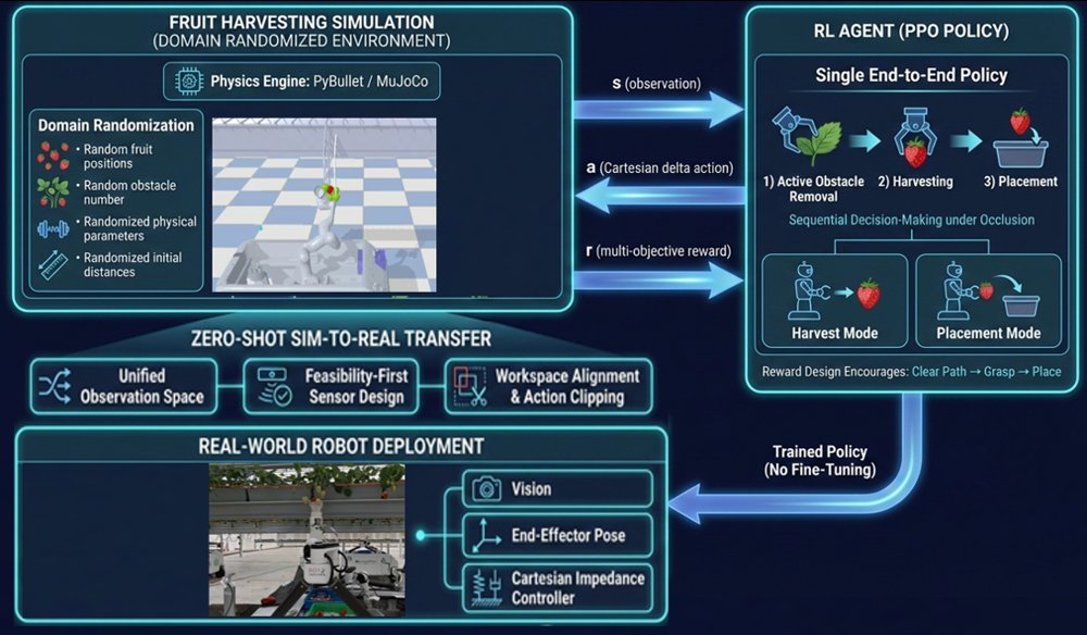 Reinforcement Learning for the Full Strawberry Harvesting Process: Obstacle Separation, Detachment, and Placement Figure 1