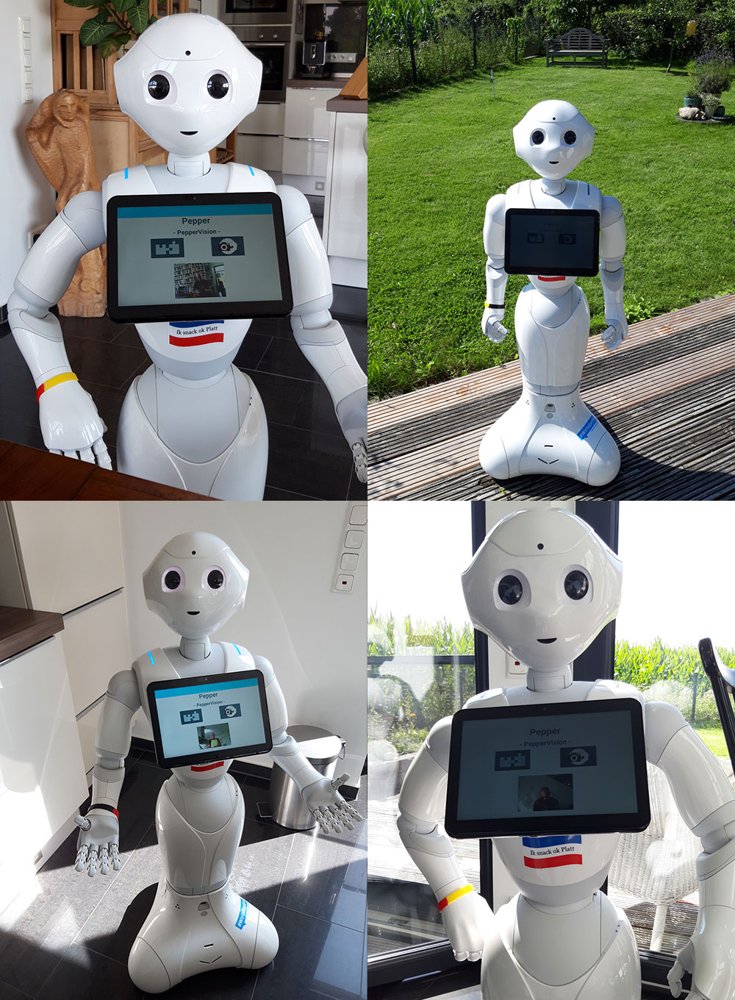 The World According to a Social Robot -- Augmenting Human-Robot Dialogue With Vision Language Models Figure 1