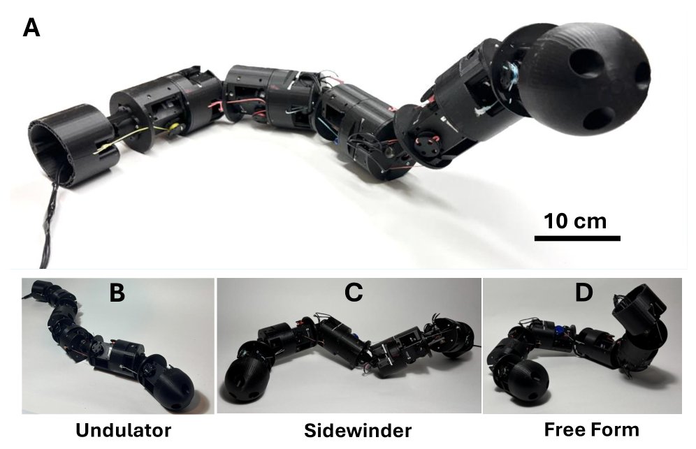 Morphing MILR: Design and control of a cable-driven limbless robot with rolling joints for maneuvering in complex environments Figure 1