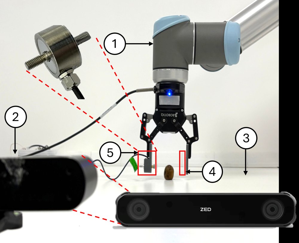 V2F: Vision-Informed Grasp Force Prediction for Damage-Aware Robotic Handling of Date Fruits Figure 1