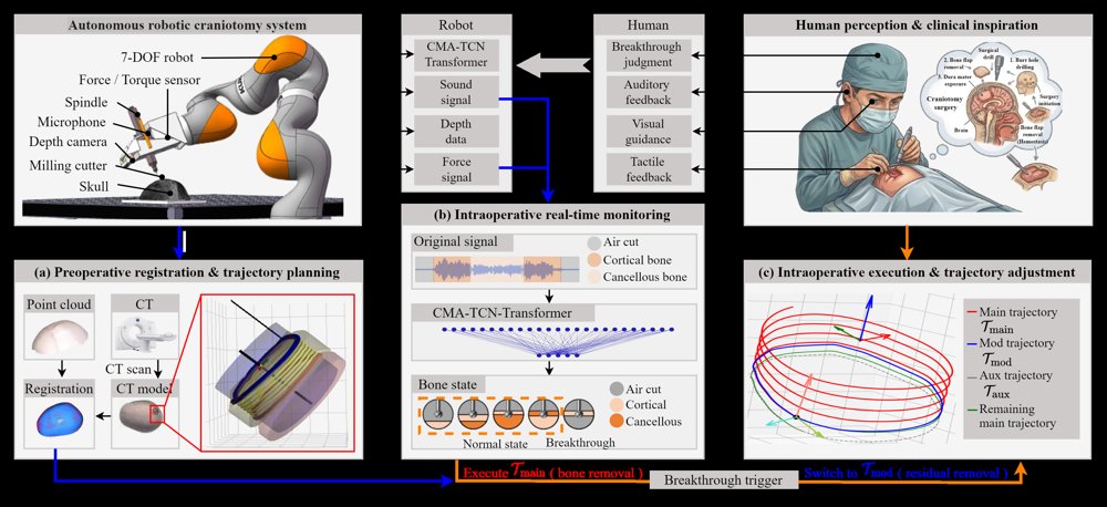 Human-Inspired Framework for Robotic Craniotomy: Integrating Multimodal Fusion and Adaptive Trajectory Adjustment Figure 1