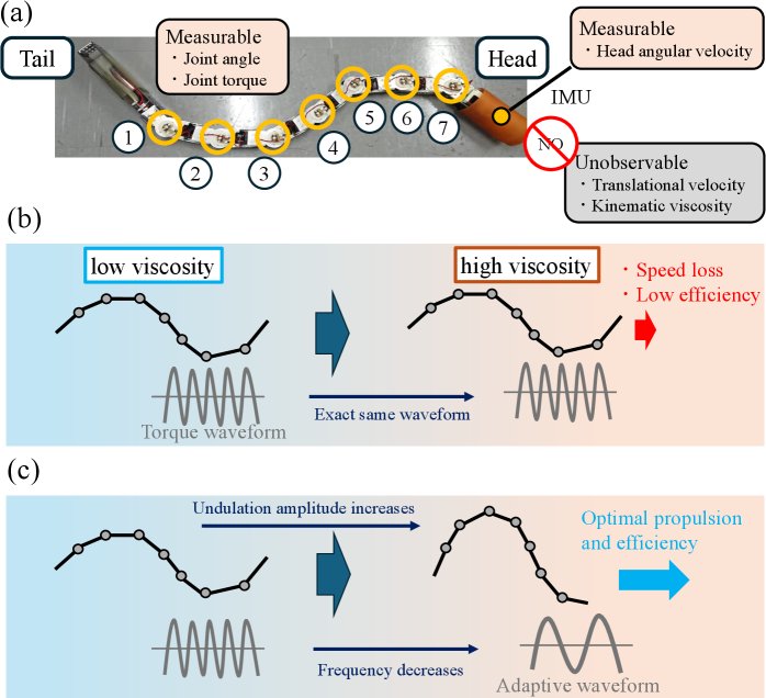 Adaptive Undulatory Locomotion of Snake-like Robots in Dynamic Viscous Environments via Deep Reinforcement Learning Figure 1