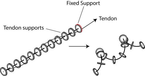 Input Shaping for Point-to-Point Motion with a Continuum Robot Arm Figure 1