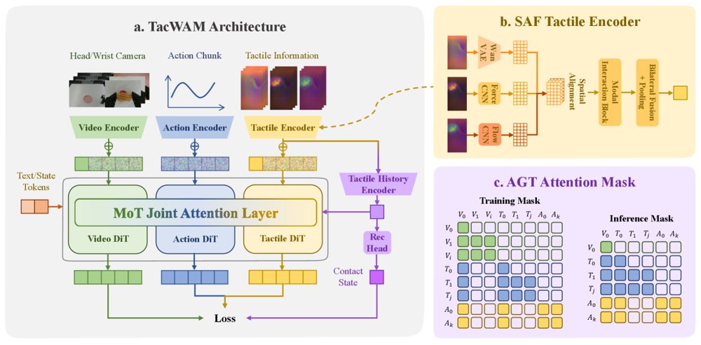 TacWAM: Anchor-Guided World Action Model with Mechanics-Aware Tactile Prediction Figure 1