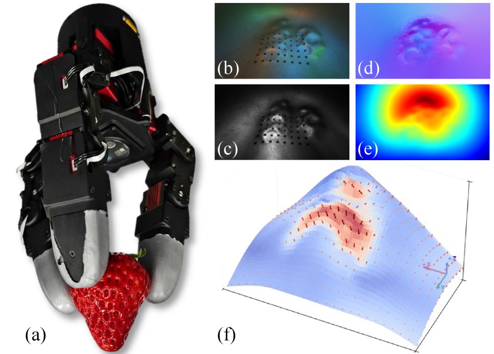 FasTac: A Curved Multispectral Vision-Based Tactile Sensor for High-Speed High-Precision 3D Shape and Force Perception Figure 1
