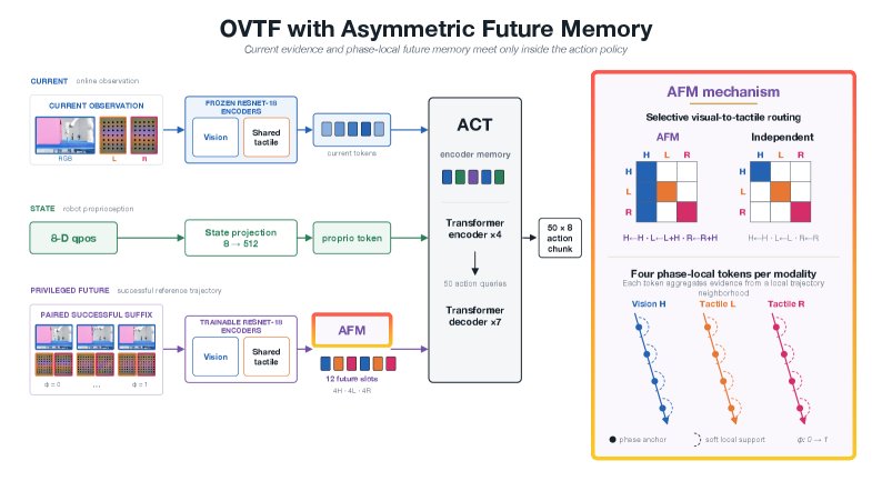 Disentangling Visuo-Tactile Foresight: Oracle-Guided Interface Discovery for World Action Models Figure 1