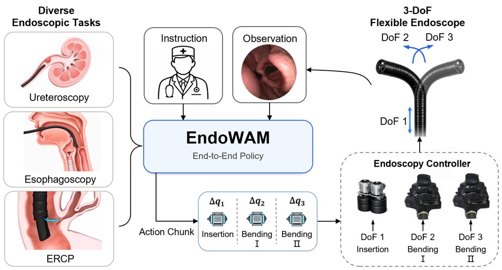 EndoWAM: A Grounded World-Action Model for Generalizable Endoscopic Navigation Figure 1