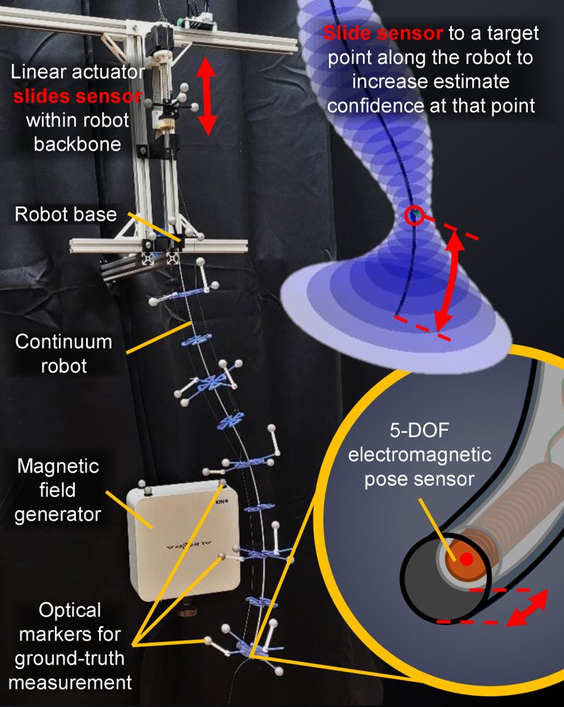 Sliding Sensors: Configurable Confidence in State Estimation for Continuum Robots Figure 1