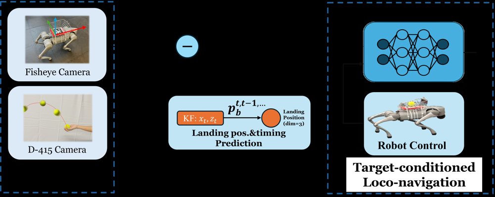 Spatiotemporal Agility: Time-Constrained Reinforcement Learning for Vision-Guided Dynamic Quadrupedal Interception Figure 1