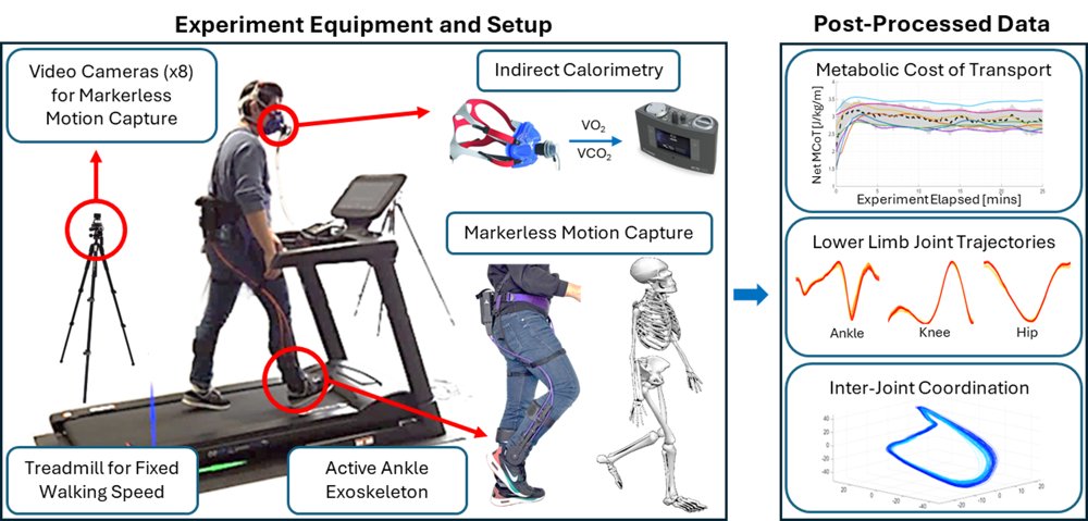 Identifying the Key Biomechanical Features of Movement Adaptation during Exoskeleton-Assisted Locomotion Figure 1