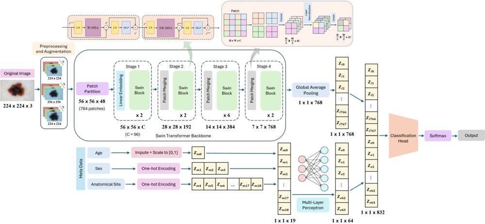 Multimodal Skin Lesion Classification with Swin Transformer and Clinical Metadata Fusion Figure 1