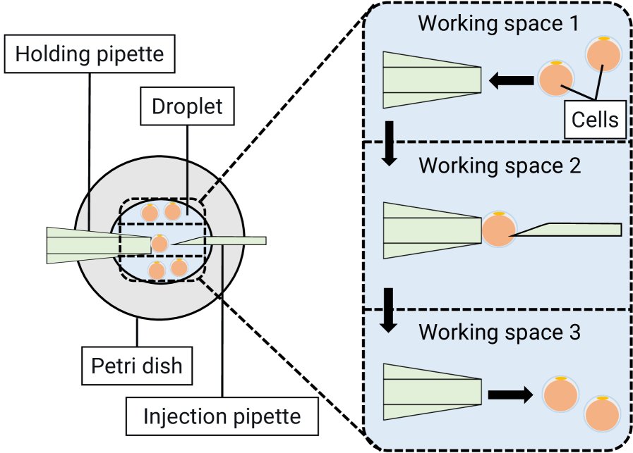 Immersive Micromanipulation Integrating Pipette and Injector Operations with McKibben-Based Haptic Sensations for Workload Reduction Figure 1