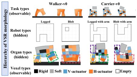 RoboLDA: A Probabilistic Generative Model for Uncovering Embodied Hierarchical Structures in Voxel-based Soft Robots Figure 1