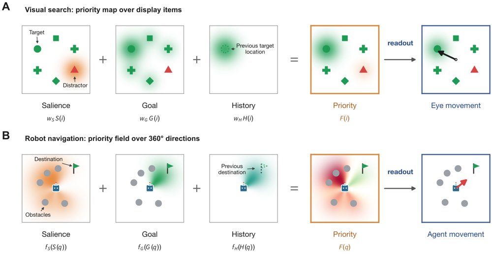 From Visual Search to Movement Control: A Priority Field for Artificial Agents Figure 1