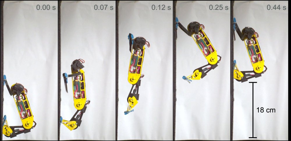 Co-design of trajectory and morphology for a vertical jump-climbing robot Figure 1