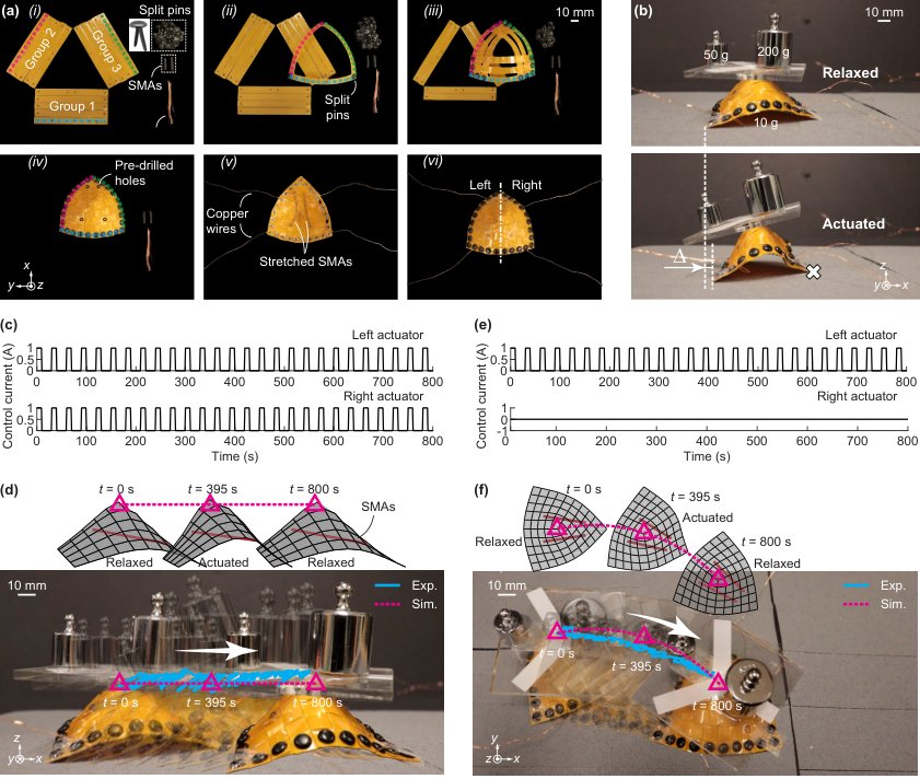 Active 3D weaves for load-bearing and damage-resilient locomotion Figure 1