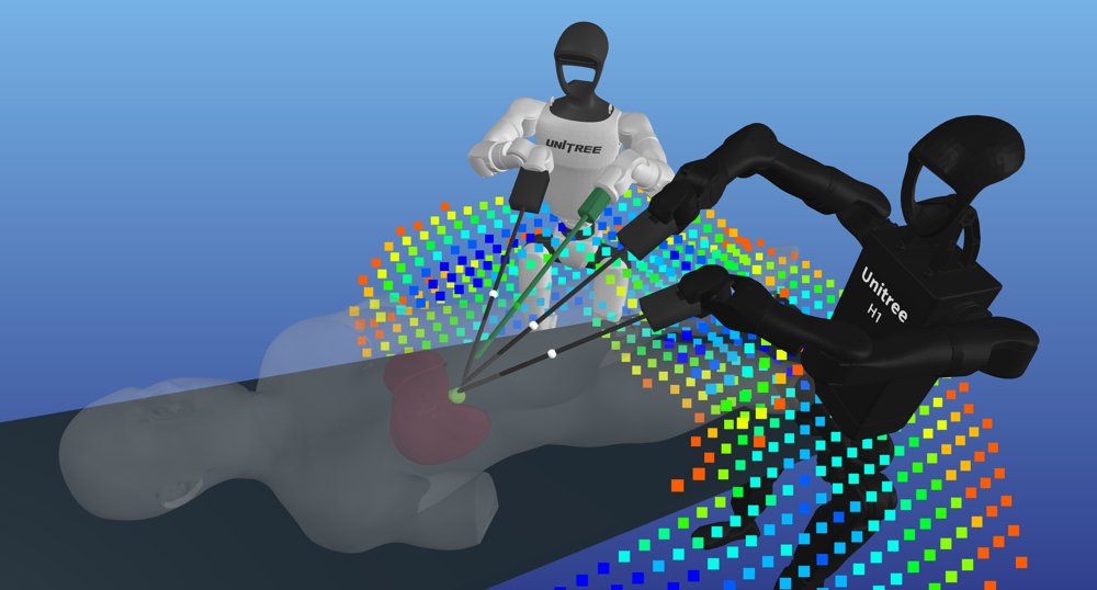 Humanoids for Robot-Assisted Surgery: Bimanual Base Placement and Tool-Mount Optimization via Capability Maps Figure 1