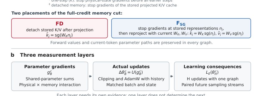 When Does Backpropagating Through Policy Memory Matter? Physical Credit, Optimizer Updates, and Observability Figure 1
