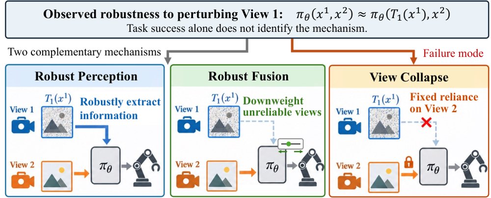 Does Adversarial Training Improve Generalization in Multi-View VLAs? Revealing and Mitigating View Collapse Figure 1