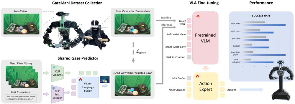 Gaze Prompts: Temporally Dense Human Attention for Vision-Language-Action Fine-Tuning Figure 1