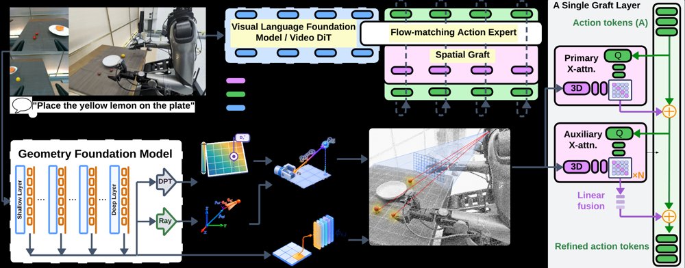 Spatial Grafting: Grounding 3D Features for Flow-Matching Robot Policies Figure 1
