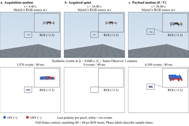 Waggle-Dance-Inspired Multi-UAV Recruitment with RGB and Synthetic Event Vision Figure 1