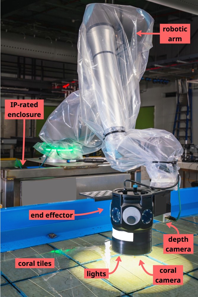 Coral Grow-out Robotic Assessment System (CGRAS): Scaling Coral Recruit Monitoring Through Robotics and Computer Vision Figure 1