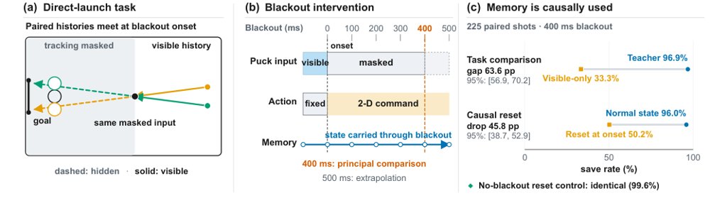 Linear Recurrent Memory Suffices to Distil a World-Model Policy for Robot Air Hockey Figure 1