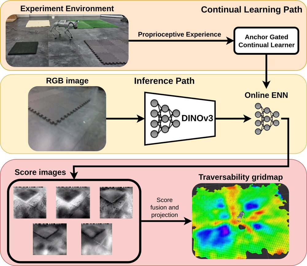 Experience-Driven Continual Learning of Terrain Traversability for Quadruped Robots Figure 1