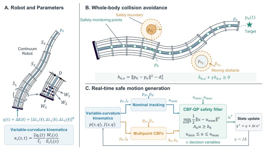 Real-Time Whole-Body Safe Motion Generation for Multi-Segment Tendon-Driven Continuum Robots Figure 1