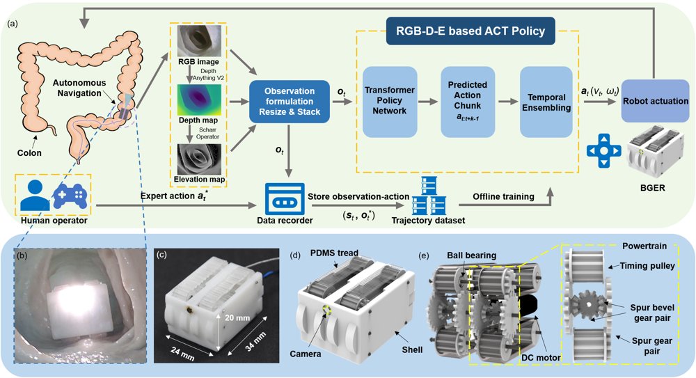 ColoACT: Multi-Cue Action Chunking for Smooth Autonomous Colon Navigation on a Self-Propelled Endoscopic Robot Figure 1