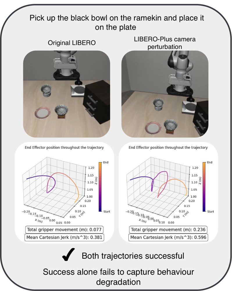 Is Success All You Need? Investigating the Impact of Input Perturbations on VLA Behaviour in Tabletop Manipulation Tasks Figure 1