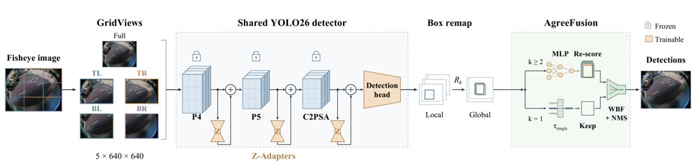 FUSEye: Training-Light Fisheye Detection with Overlapping Views and Zero-Initialized Adapters Figure 1