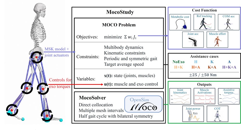 Subject-Specific Predictive Musculoskeletal Simulations of Lower-Limb Exoskeleton Assistance: Metabolic and Biomechanical Effects of Joint Assistance Strategies Figure 1