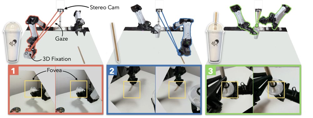 EyeRobot 2.0: Active Gaze for Precise Manipulation without Wrist Cameras Figure 1