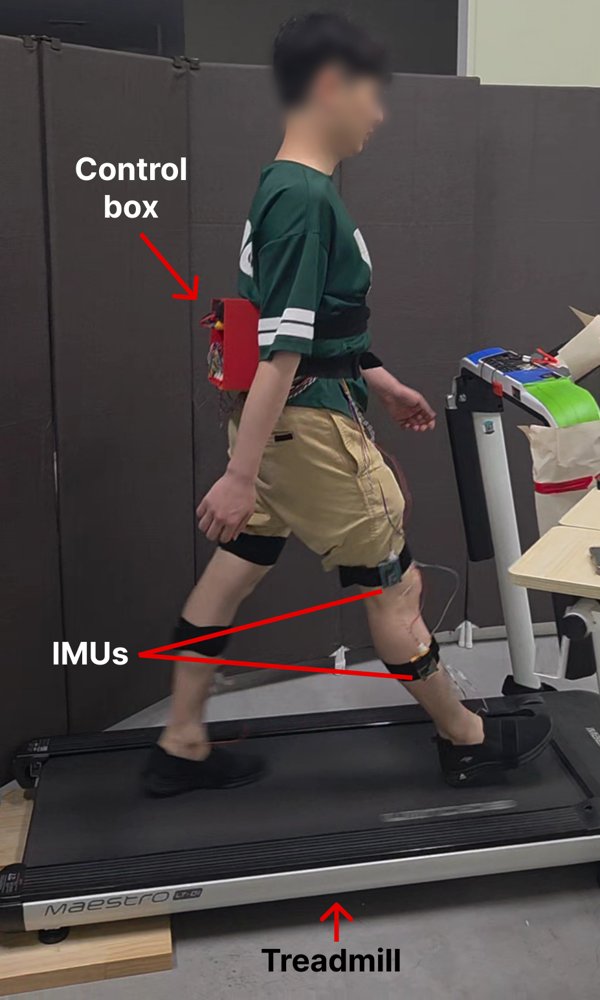 Sparse Calibration-Based Personalization of Kernel-Based Gait Phase and Speed Estimation Using Wearable IMUs Figure 1